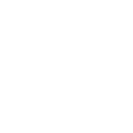 X (Twitter)